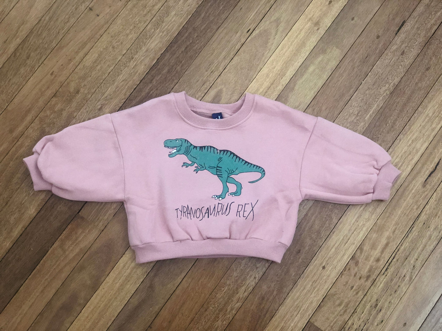 Dinosaur Sweater