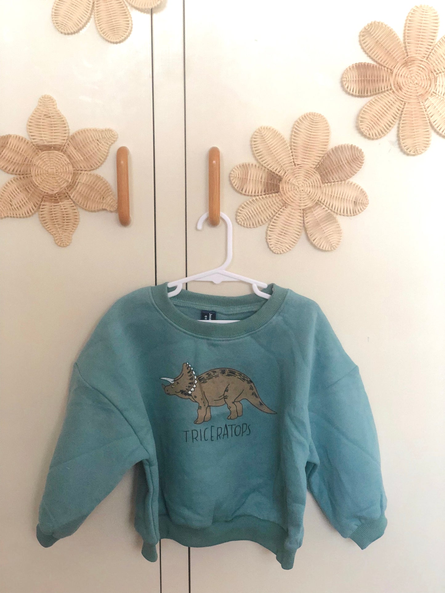 Dinosaur Sweater